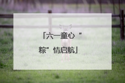 六一童心“粽”情启航
