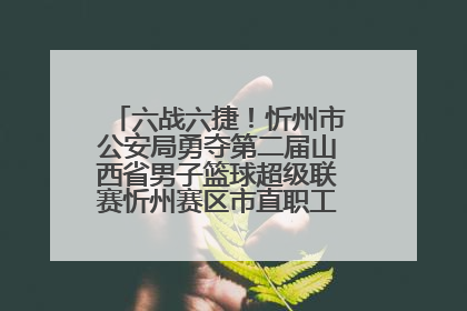 六战六捷！忻州市公安局勇夺第二届山西省男子篮球超级联赛忻州赛区市直职工组比赛冠军