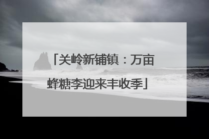 关岭新铺镇：万亩蜂糖李迎来丰收季
