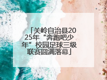 关岭自治县2025年“奔跑吧少年”校园足球三级联赛圆满落幕