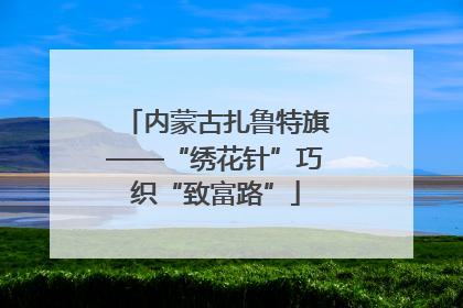 内蒙古扎鲁特旗——“绣花针”巧织“致富路”