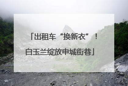 出租车“换新衣”！白玉兰绽放申城街巷
