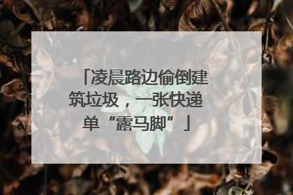 凌晨路边偷倒建筑垃圾，一张快递单“露马脚”