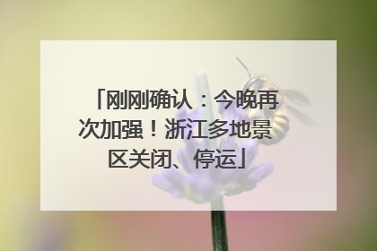 刚刚确认：今晚再次加强！浙江多地景区关闭、停运