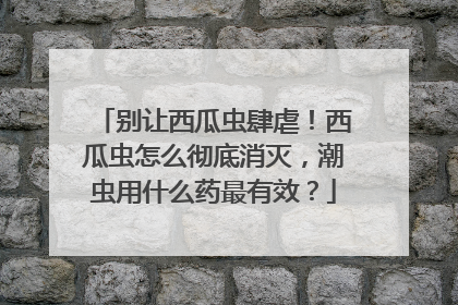 别让西瓜虫肆虐！西瓜虫怎么彻底消灭，潮虫用什么药最有效？