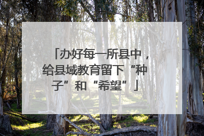 办好每一所县中，给县域教育留下“种子”和“希望”
