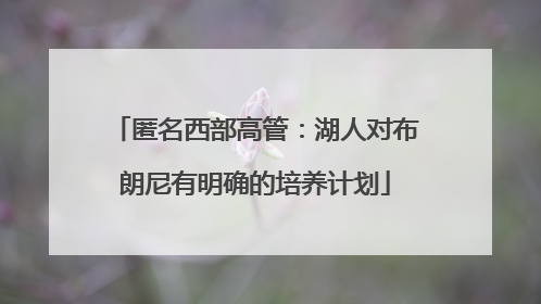 匿名西部高管：湖人对布朗尼有明确的培养计划