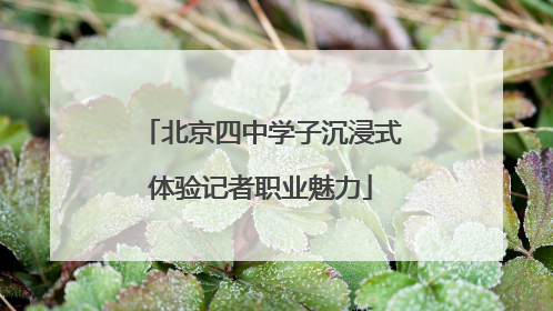 北京四中学子沉浸式体验记者职业魅力