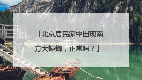北京居民家中出现南方大蟑螂，正常吗？