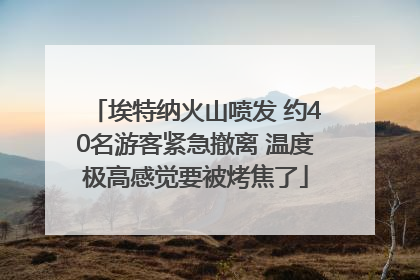 埃特纳火山喷发 约40名游客紧急撤离 温度极高感觉要被烤焦了