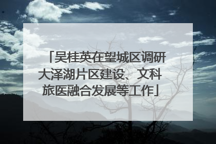 吴桂英在望城区调研大泽湖片区建设、文科旅医融合发展等工作