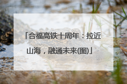 合福高铁十周年：拉近山海，融通未来(图)