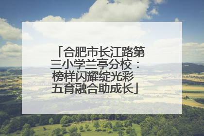 合肥市长江路第三小学兰亭分校：榜样闪耀绽光彩 五育融合助成长