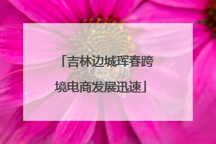 吉林边城珲春跨境电商发展迅速