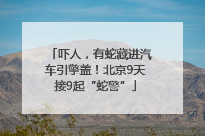 吓人，有蛇藏进汽车引擎盖！北京9天接9起“蛇警”