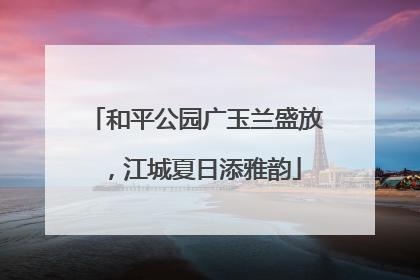 和平公园广玉兰盛放，江城夏日添雅韵