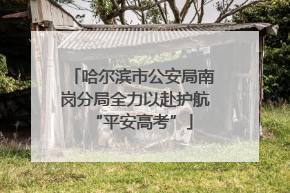 哈尔滨市公安局南岗分局全力以赴护航“平安高考”