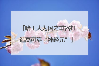 哈工大为国之重器打造高可靠“神经元”