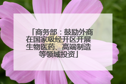 商务部：鼓励外商在国家级经开区开展生物医药、高端制造等领域投资