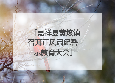 嘉祥县黄垓镇召开正风肃纪警示教育大会