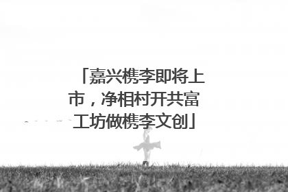 嘉兴槜李即将上市，净相村开共富工坊做槜李文创