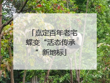 嘉定百年老宅蝶变“活态传承”新地标