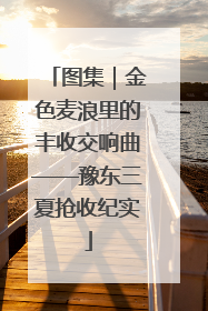 图集｜金色麦浪里的丰收交响曲——豫东三夏抢收纪实