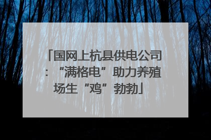 国网上杭县供电公司：“满格电”助力养殖场生“鸡”勃勃