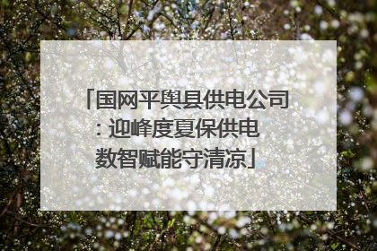 国网平舆县供电公司：迎峰度夏保供电  数智赋能守清凉