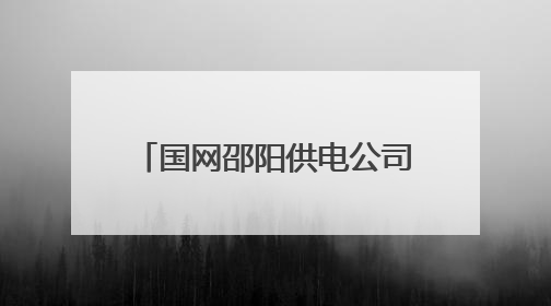国网邵阳供电公司开展雨后防汛特巡 筑牢电网安全防线