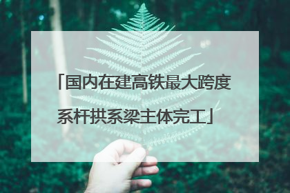 国内在建高铁最大跨度系杆拱系梁主体完工