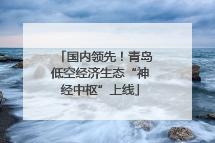国内领先！青岛低空经济生态“神经中枢”上线