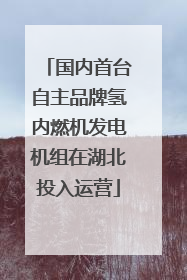 国内首台自主品牌氢内燃机发电机组在湖北投入运营