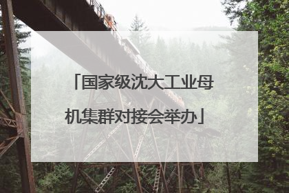 国家级沈大工业母机集群对接会举办