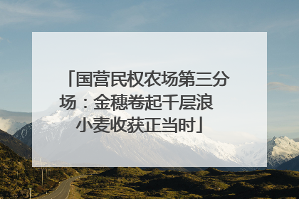 国营民权农场第三分场：金穗卷起千层浪 小麦收获正当时