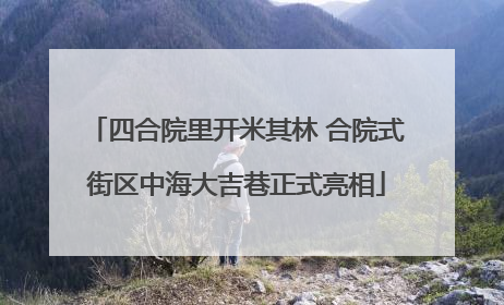 四合院里开米其林 合院式街区中海大吉巷正式亮相