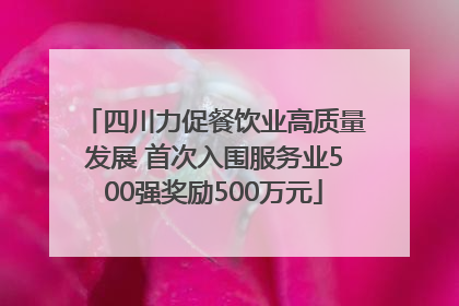 四川力促餐饮业高质量发展 首次入围服务业500强奖励500万元