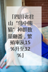 四川老君山“鸟中熊猫”种群数量翻番，繁殖率从15%升至32%