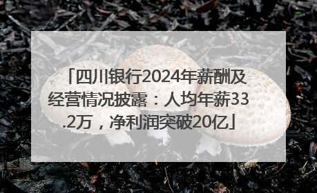 四川银行2024年薪酬及经营情况披露：人均年薪33.2万，净利润突破20亿