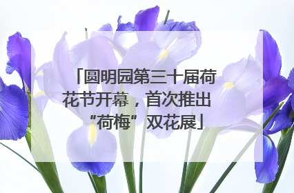 圆明园第三十届荷花节开幕，首次推出“荷梅”双花展