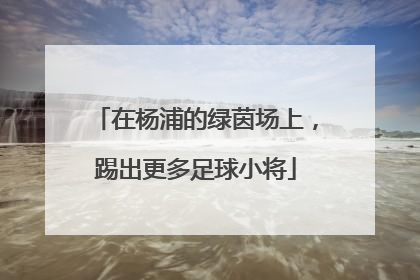 在杨浦的绿茵场上，踢出更多足球小将