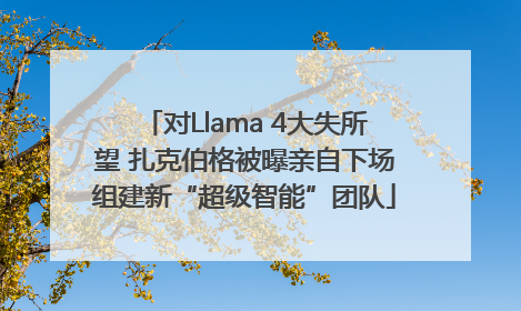 对Llama 4大失所望 扎克伯格被曝亲自下场组建新“超级智能”团队