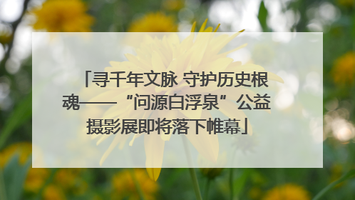 寻千年文脉 守护历史根魂——“问源白浮泉”公益摄影展即将落下帷幕