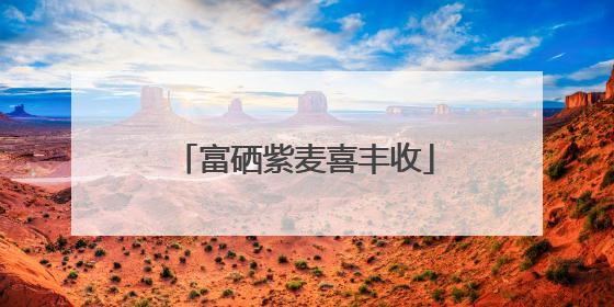 富硒紫麦喜丰收
