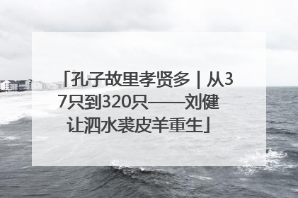 孔子故里孝贤多｜从37只到320只——刘健让泗水裘皮羊重生