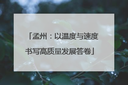 孟州：以温度与速度书写高质量发展答卷