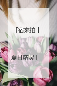 宿来拍丨夏日精灵