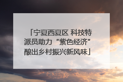 宁夏西夏区 科技特派员助力“紫色经济”酿出乡村振兴新风味