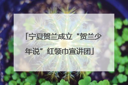 宁夏贺兰成立“贺兰少年说”红领巾宣讲团
