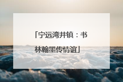 宁远湾井镇：书林翰墨传情谊